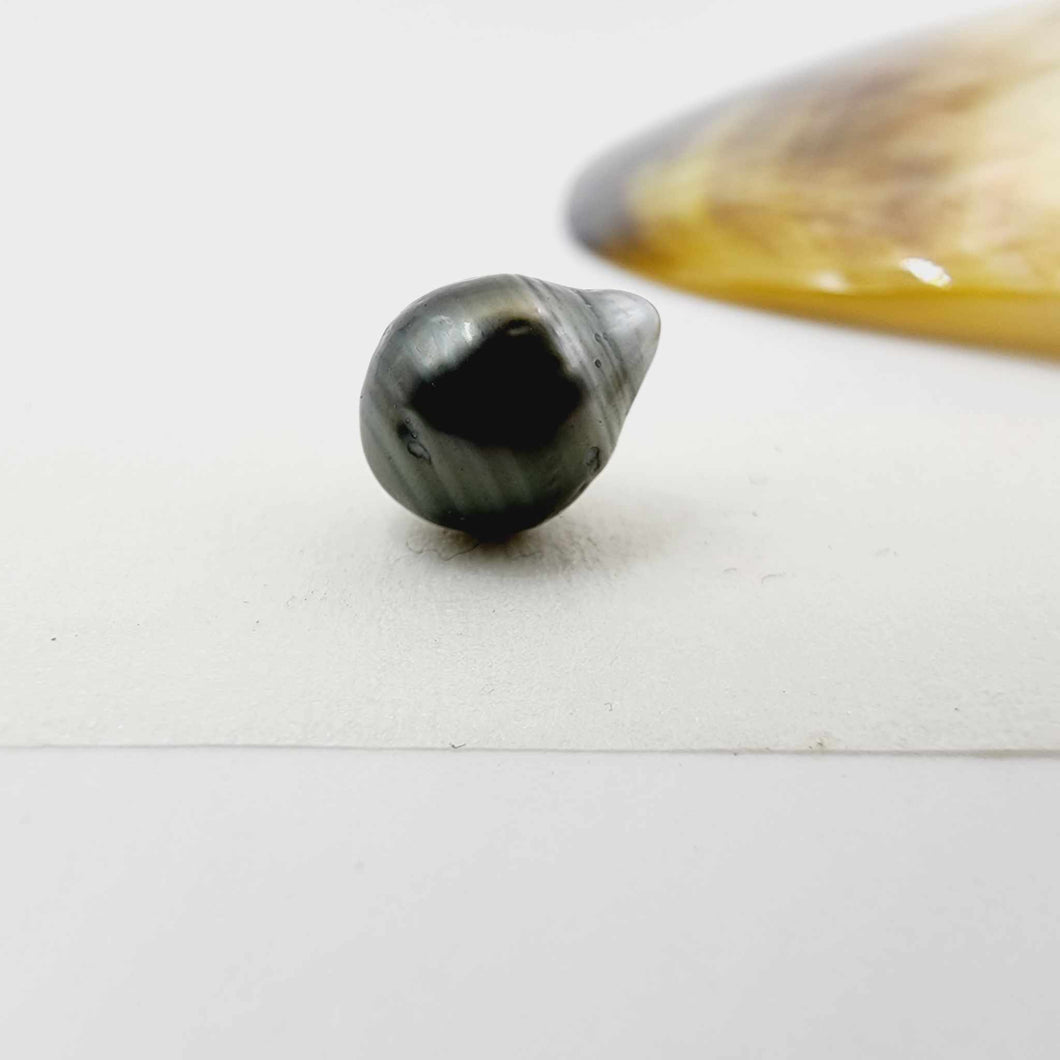 Civa Fiji Loose Pearl - FJD$