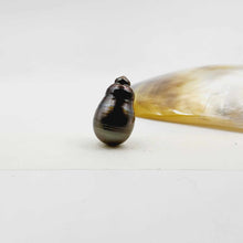 Load image into Gallery viewer, Civa Fiji Loose Pearl - FJD$
