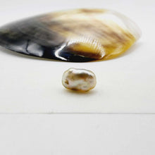 Load image into Gallery viewer, Civa Fiji Loose Keshi Pearl - FJD$
