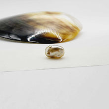 Load image into Gallery viewer, Civa Fiji Loose Keshi Pearl - FJD$
