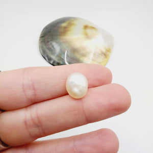 Civa Fiji Loose Pearl - FJD$