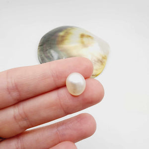 Civa Fiji Loose Pearl - FJD$