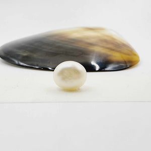 Civa Fiji Loose Pearl - FJD$