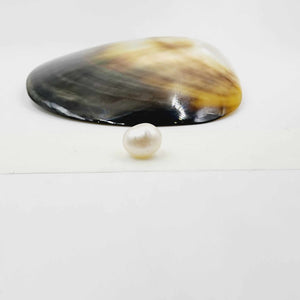 Civa Fiji Loose Pearl - FJD$