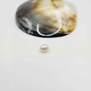 Civa Fiji Loose Pearl - FJD$