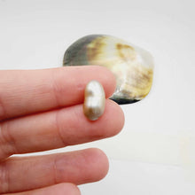 Load image into Gallery viewer, Civa Fiji Loose Pearl - FJD$
