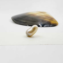 Load image into Gallery viewer, Civa Fiji Loose Pearl - FJD$
