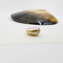 Load image into Gallery viewer, Civa Fiji Loose Pearl - FJD$
