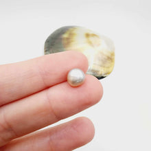 Load image into Gallery viewer, Civa Fiji Loose Pearl - FJD$
