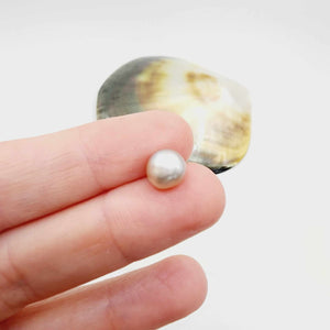 Civa Fiji Loose Pearl - FJD$