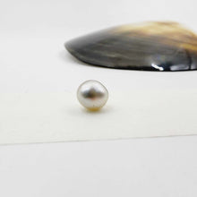 Load image into Gallery viewer, Civa Fiji Loose Pearl - FJD$
