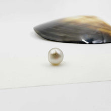 Load image into Gallery viewer, Civa Fiji Loose Pearl - FJD$
