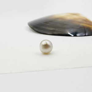 Civa Fiji Loose Pearl - FJD$