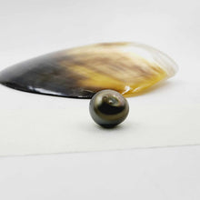 Load image into Gallery viewer, Civa Fiji Loose Pearl - FJD$
