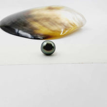 Load image into Gallery viewer, Civa Fiji Loose Pearl - FJD$
