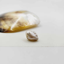 Load image into Gallery viewer, Civa Fiji Loose Pearl - FJD$
