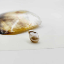 Load image into Gallery viewer, Civa Fiji Loose Pearl - FJD$
