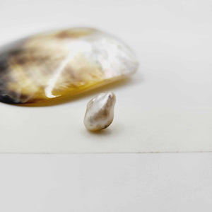 Civa Fiji Loose Pearl - FJD$