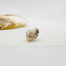Load image into Gallery viewer, Civa Fiji Loose Pearl - FJD$

