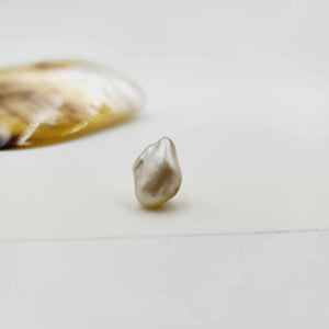 Civa Fiji Loose Pearl - FJD$