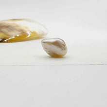 Load image into Gallery viewer, Civa Fiji Loose Pearl - FJD$
