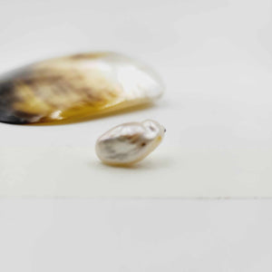 Civa Fiji Loose Pearl - FJD$