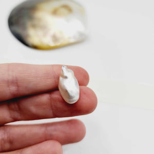 Civa Fiji Loose Pearl - FJD$
