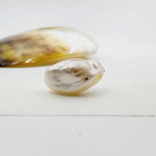 Load image into Gallery viewer, Civa Fiji Loose Pearl - FJD$
