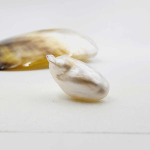 Civa Fiji Loose Pearl - FJD$