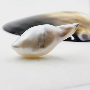 Civa Fiji Loose Pearl - FJD$