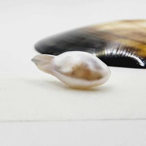 Civa Fiji Loose Pearl - FJD$