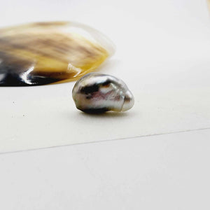 Civa Fiji Loose Pearl - FJD$