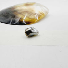 Load image into Gallery viewer, Civa Fiji Loose Pearl - FJD$
