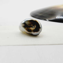 Load image into Gallery viewer, Civa Fiji Loose Pearl - FJD$
