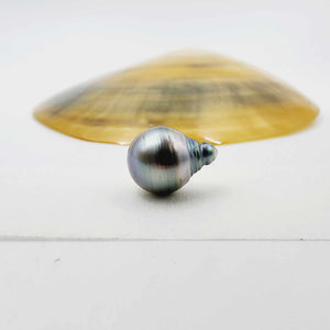 Civa Fiji Loose Saltwater Pearl - FJD$