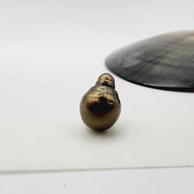 Load image into Gallery viewer, Civa Fiji Large Loose 16 mm Saltwater Pearl - FJD$
