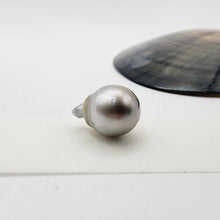 Load image into Gallery viewer, Civa Fiji Loose Saltwater Pearl - FJD$
