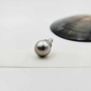 Civa Fiji Loose Saltwater Pearl - FJD$