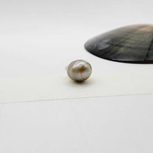 Load image into Gallery viewer, Civa Fiji Loose Saltwater Pearl - FJD$
