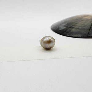 Civa Fiji Loose Saltwater Pearl - FJD$