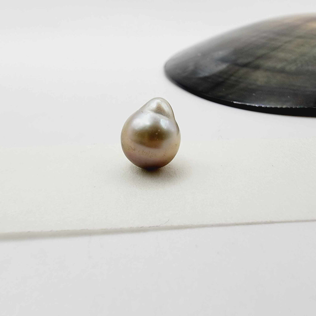 Civa Fiji Loose Saltwater Pearl - FJD$