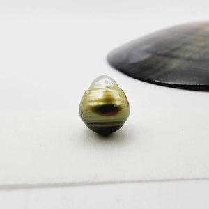 Civa Fiji Loose Saltwater Pearl - FJD$