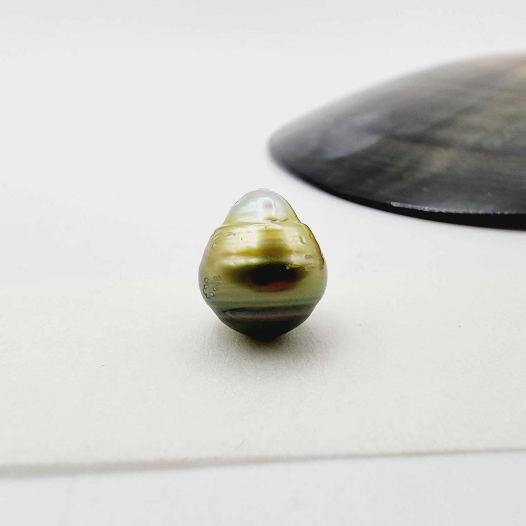 Civa Fiji Loose Saltwater Pearl - FJD$