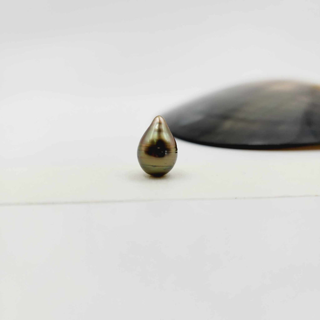 Civa Fiji Loose Saltwater Pearl - FJD$