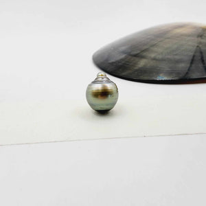 Civa Fiji Loose Saltwater Pearl - FJD$