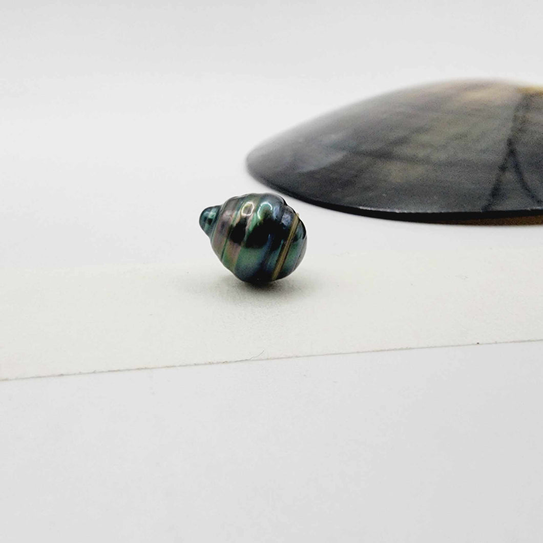 Civa Fiji Loose Saltwater Pearl - FJD$