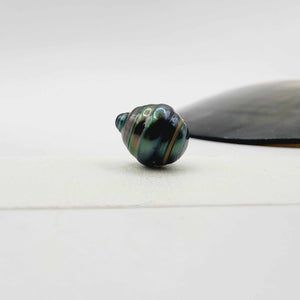 Civa Fiji Loose Saltwater Pearl - FJD$
