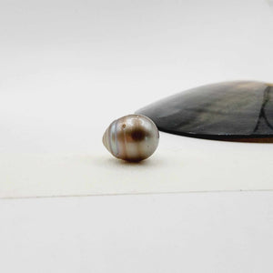 Civa Fiji Loose Saltwater Pearl - FJD$