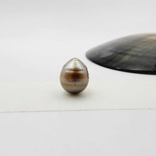 Load image into Gallery viewer, Civa Fiji Loose Saltwater Pearl - FJD$
