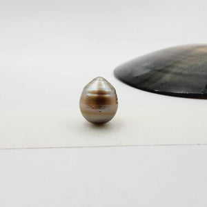 Civa Fiji Loose Saltwater Pearl - FJD$